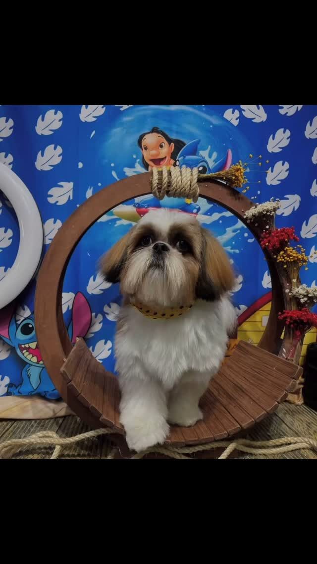 Instagram post from blue_petss. This post is in position 12.