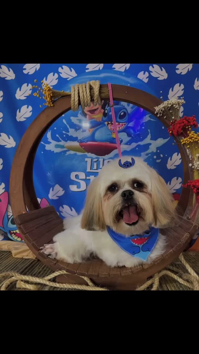 Instagram post from blue_petss. This post is in position 10.