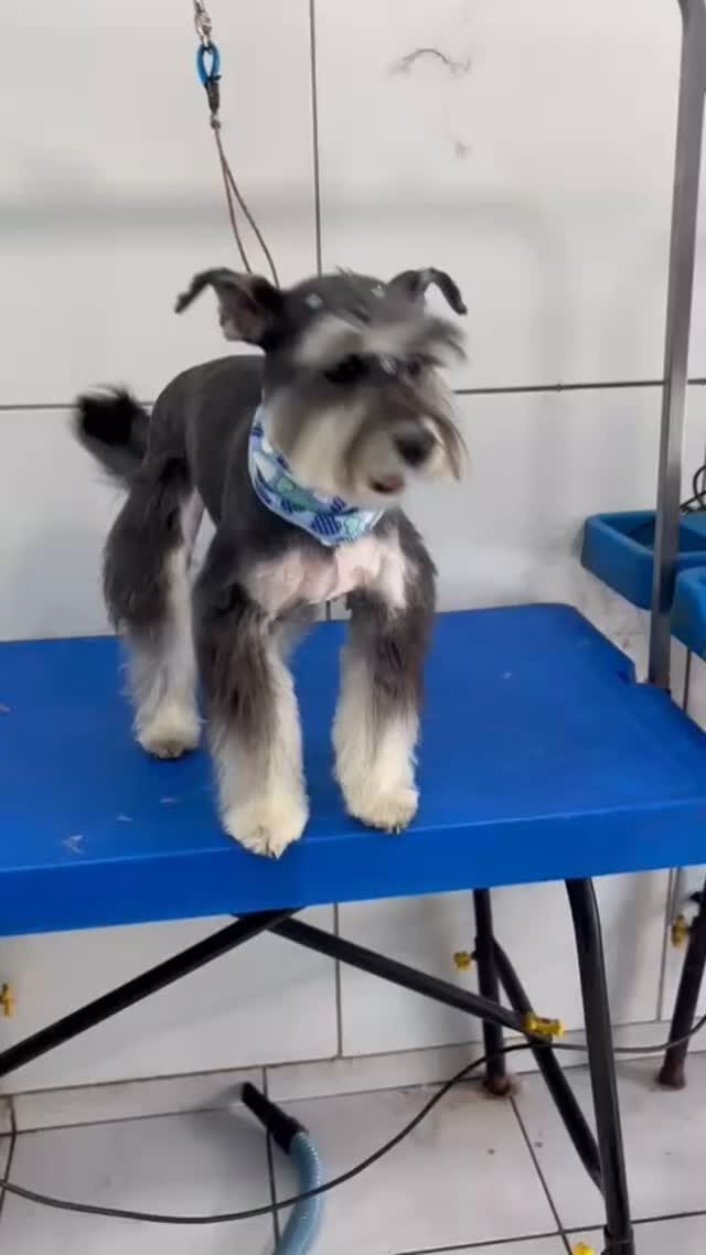 Instagram post from blue_petss. This post is in position 0.