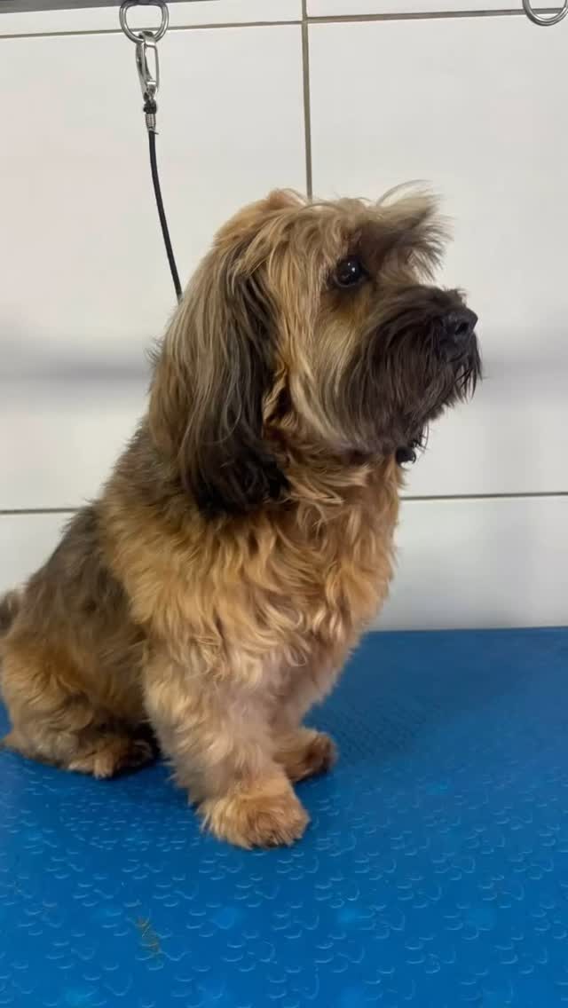 Instagram post from blue_petss. This post is in position 1.