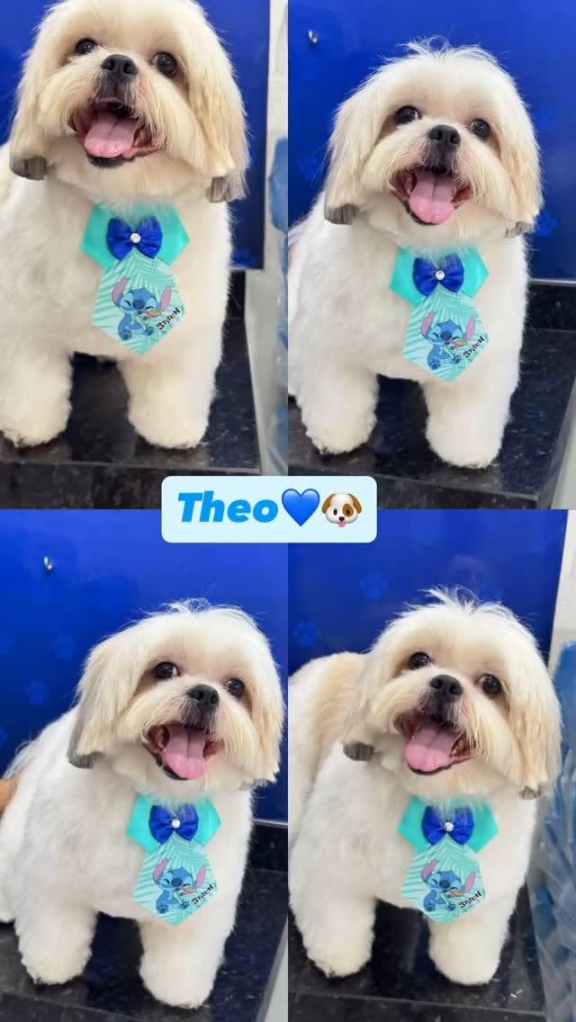 Instagram post from blue_petss. This post is in position 10.