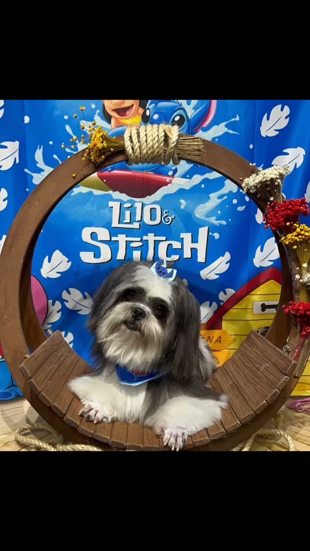Instagram post from blue_petss. This post is in position 8.